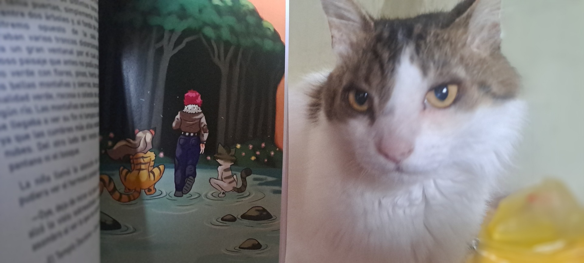 Camina hacia lo desconocido...